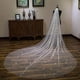 thumbnail image 4 of Velos de novia de boda Lentejuelas brillantes y brillantes que se arrastran largo exquisito tul suave velo catedral con purpurina punteada plateada para novia, 3 m * 1,5 m, una sola capa, 4 of 4