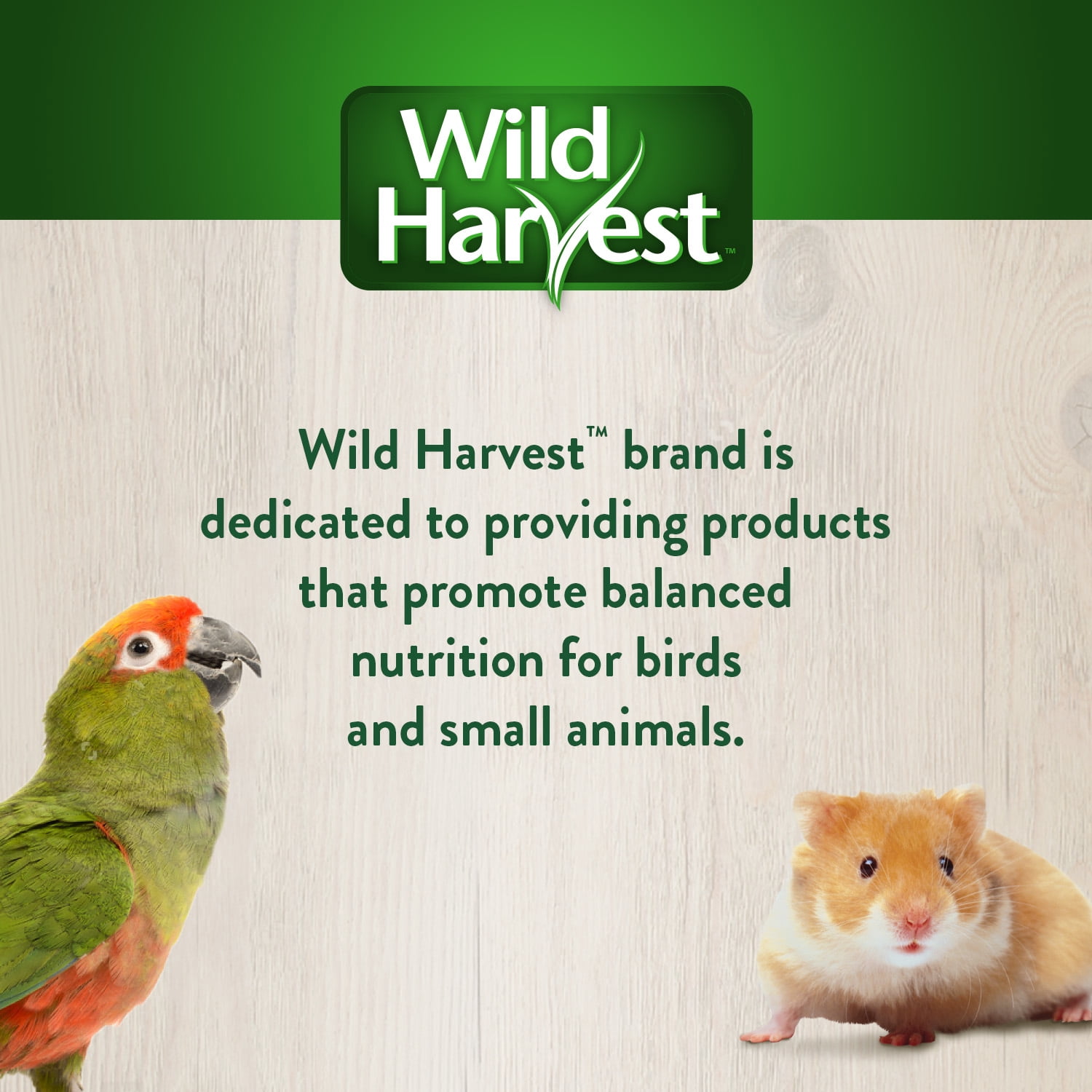 Wild Harvest Foraging Instincts Interactive Treat for Rabbits, Guinea Pigs and Chinchillas, 2 Count