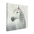 thumbnail image 2 of James Wiens 'Spirit Stallion II on wood Square' Canvas Art, 2 of 3