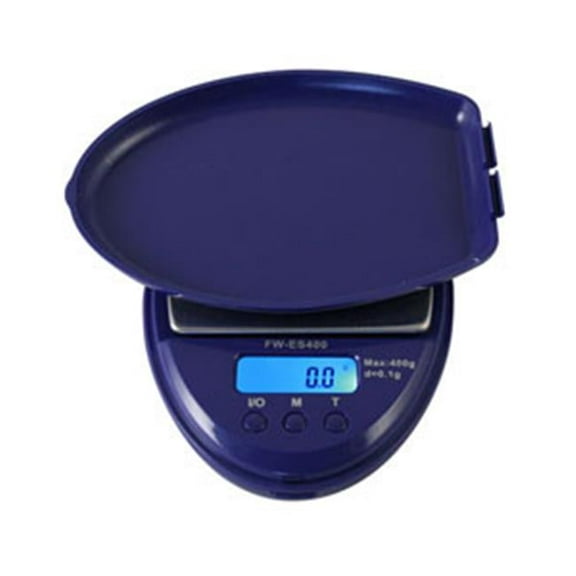 Fast Weigh 100 X .01G Digital Scale Silv