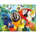 thumbnail image 1 of Rompecabezas Ceaco Selfies Perfect Parrot 500 piezas, 1 of 9