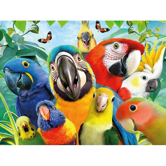 Rompecabezas Ceaco Selfies Perfect Parrot 500 piezas