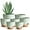 Green, variant on LIOUCBD 5Pack Self Watering Plant Pots for Lazy People, 7/6.5/6/5.5/5 Inch,White Plastic Self Watering Planter for All Houseplants,Succulent, African Violets,Snake Plants, Flowers and Cactus