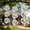 3PC, variant on Hanging Reflective Wind Chime for Outdoor Garden – Spinning Bird Scarer Noisemaker Rotating Motion to Protect Fruit Trees Yard Avoid Bird Damage