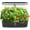 Black, variant on SUNCOZE 12 Pod Hydroponic Growing System, Indoor Herb Garden with 24W LED Grow Light, 4L Water Tank, Adjustable Height, Black