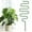 L, variant on Plant Support Stakes Plant Stakes for Indoor Plants Plant Sticks Support Tall 1Pcs Garden Pot Stand Small Metal Trellis for Potted Plants Trellis for Climbing Plants Indoor