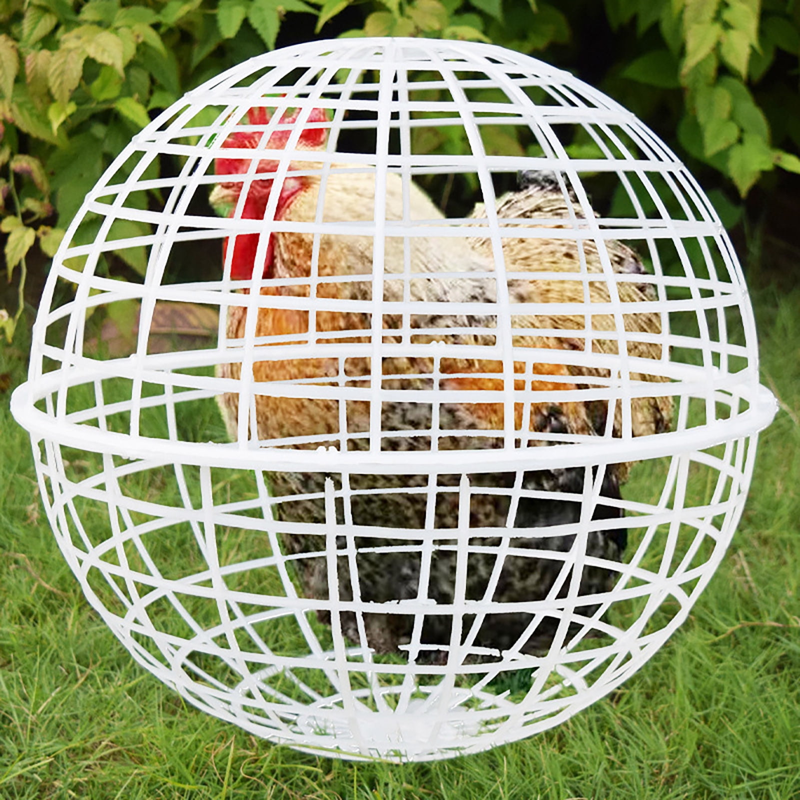 mdesiwst Rolling Chicken Ball Cage Detachable Chicken Ball Plastic Mesh Enclosure Chickens Orb Cage to Free Range for Hamsters Parrots Chicks Outdoor Safe Exploration