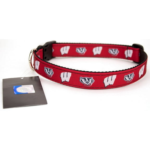 Wisconsin Badgers Ribbon Dog Collar - Small