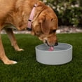 thumbnail image 2 of Cuencos para mascotas Loving Pets Dolce Bamboo, ecológicos, grandes, 2 of 3