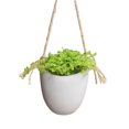 thumbnail image 1 of Kearding Florero de plantas con tecnología cultivable en agua Forma de escaparate Verde pequeño Maceta de impermeabilización interna blanca Type2 NO2, 1 of 6
