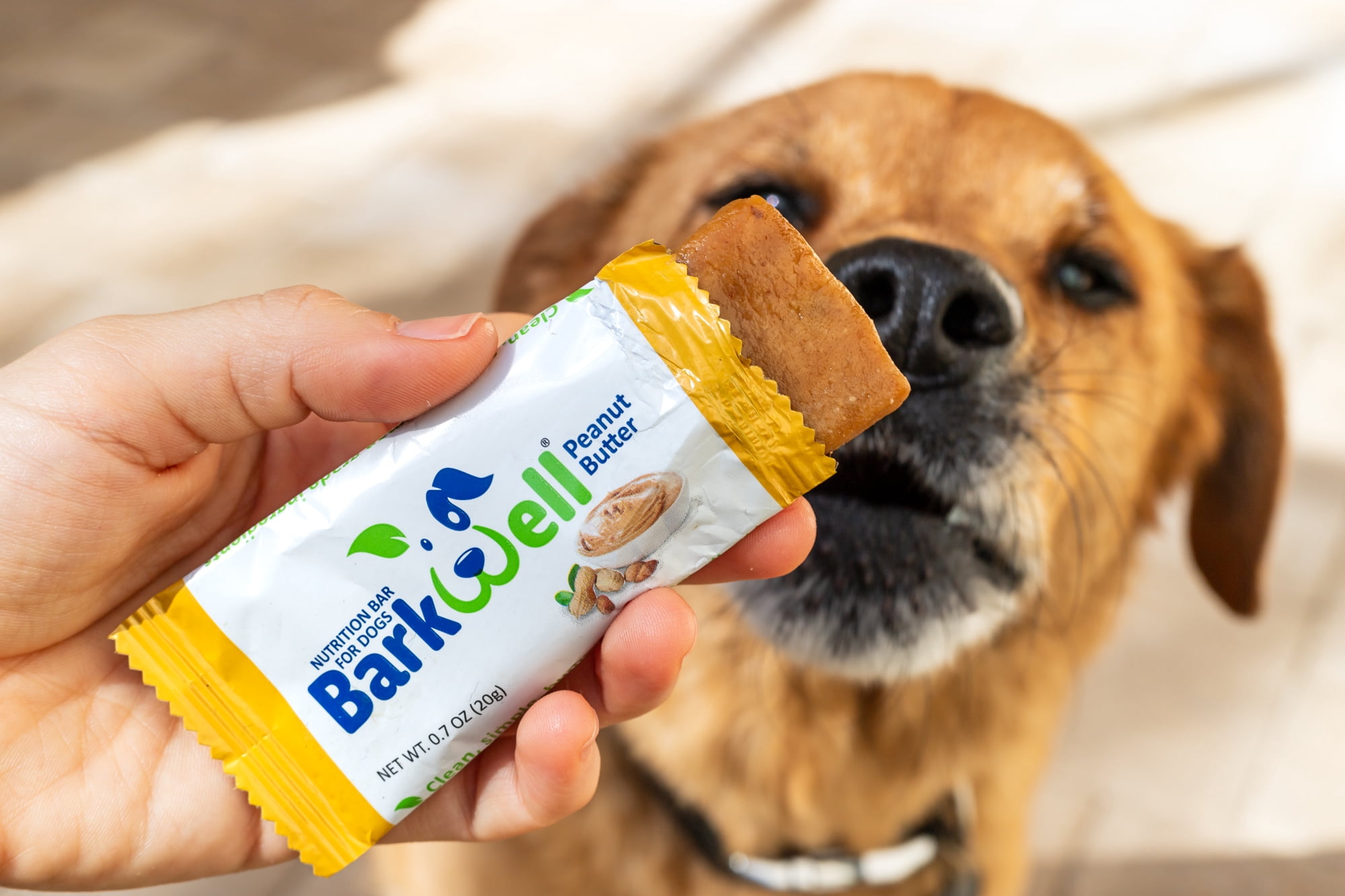 BarkWell Nutrition Bar For Dogs Peanut Butter  Snack Individually Wrapped Dog Treats (16 Count)