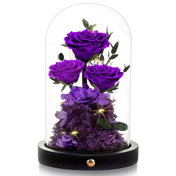 AGRUL Preserved Flowers Rose in Glass Dome,Roses Gifts for Mom,Valentines Day Gifts for Her