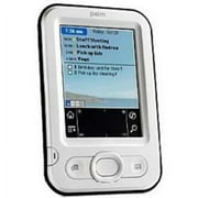 Palm Palm Z22