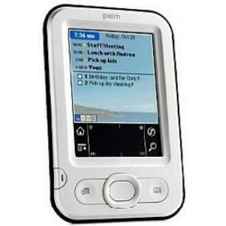 Palm Palm Z22