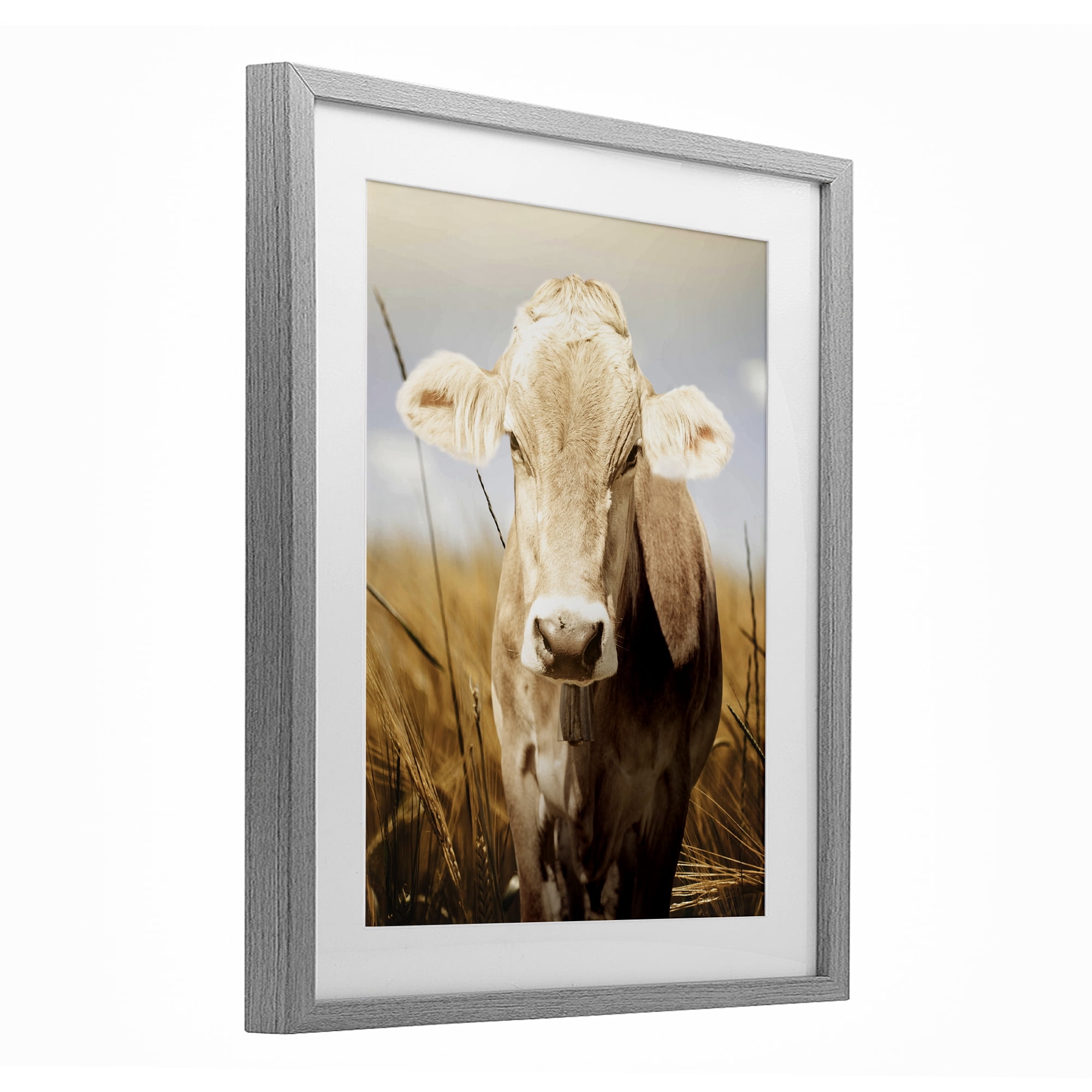 Stupell Industries Simple Belle Cow Portrait Gray Framed Print Under Glass, design by Marcus Prime