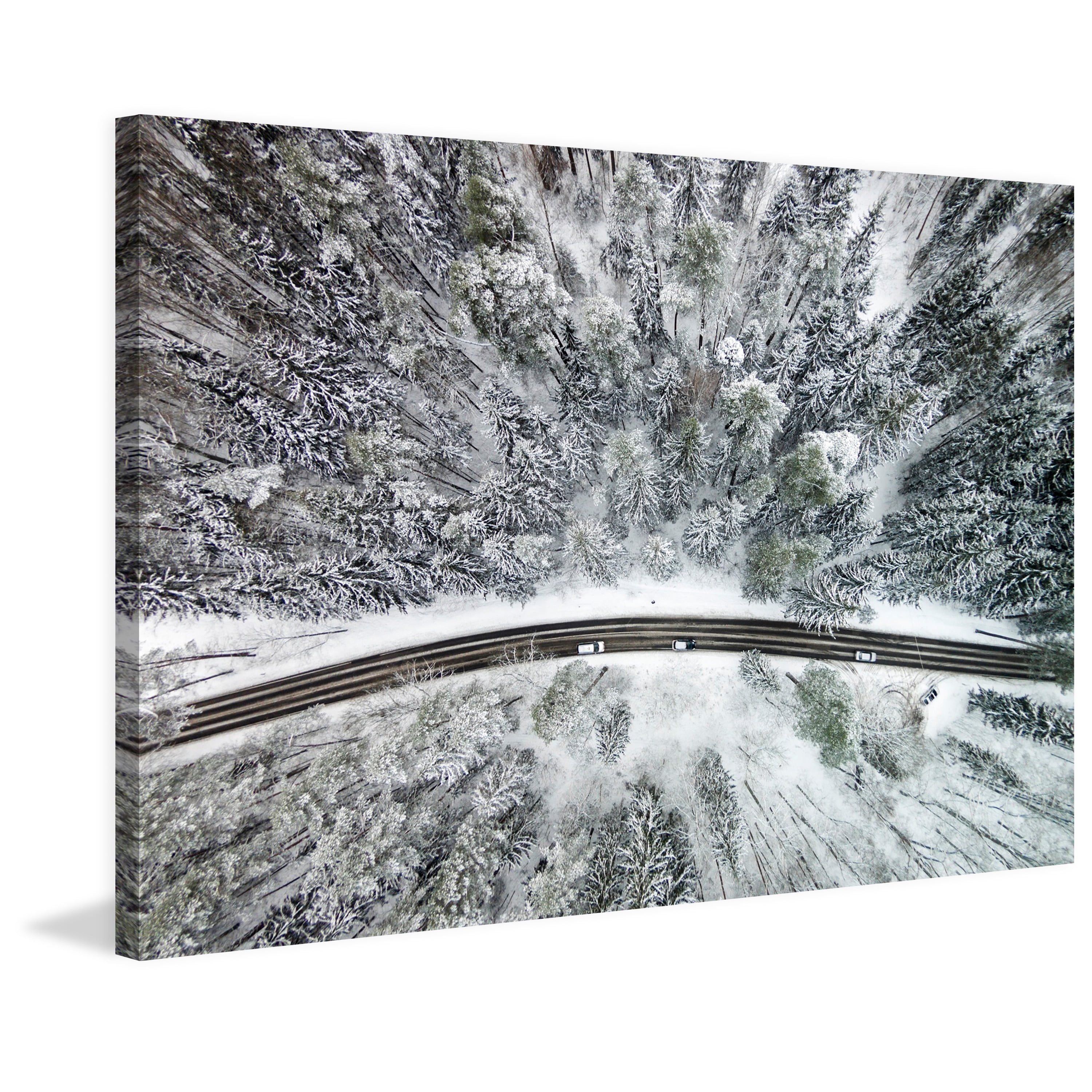marmont hill 'icy firs' by karolis janulis photographic print on wrapped canvas