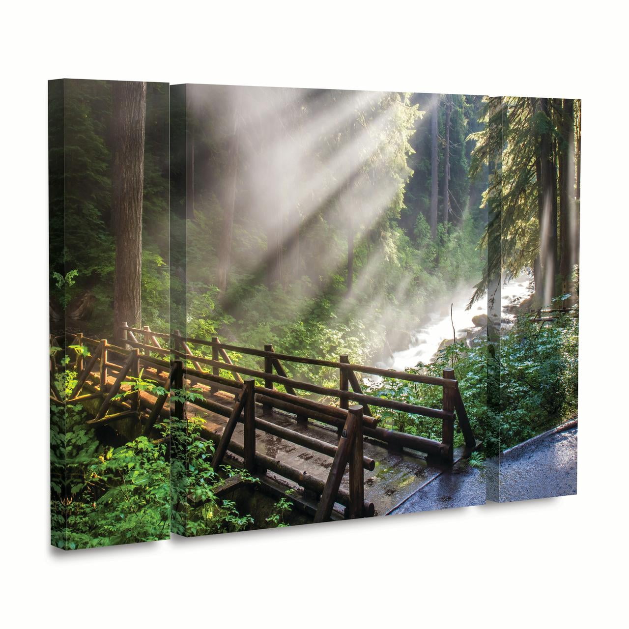 Trademark Fine Art 'Forest Sunlight' Canvas Art by Pierre Leclerc