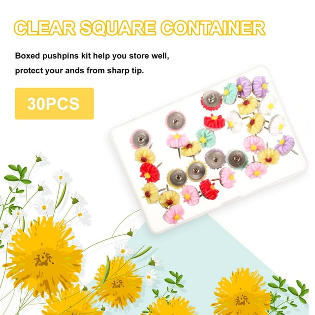 Decodeary Ensemble Pratique de 30 Pcs/puces et Poussoirs pour Organiser 1 Ensemble