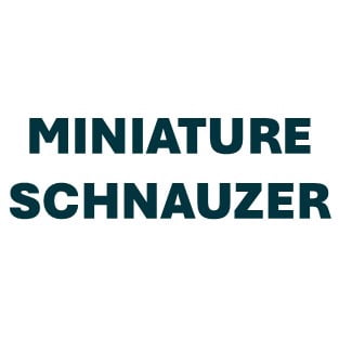 Miniature Schnauzer Pill Butter