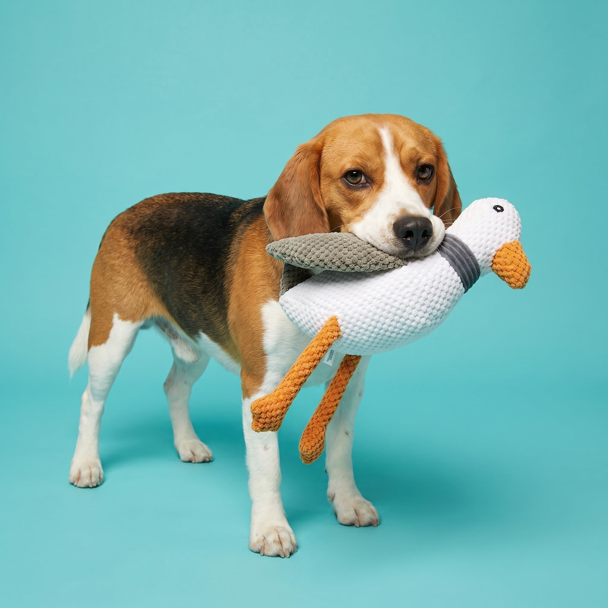 Vibrant Life White Seagull Plush Dog Toy, Squeaker, Chew Level 4
