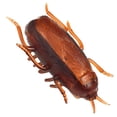 thumbnail image 1 of Juguete Electrónico de Cucarachas, Plástico Portátil de Juguete falso cucaracha para una una decoración espeluznante, 1 of 7