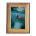 thumbnail image 1 of Ocean Sea Turtle Science Nature Photo Frame Exhibition Display Art Desktop Painting, 1 of 3
