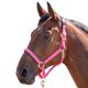 thumbnail image 1 of Shires - Cabezada de Caballos Nylon Topaz (Rosa), 1 of 2