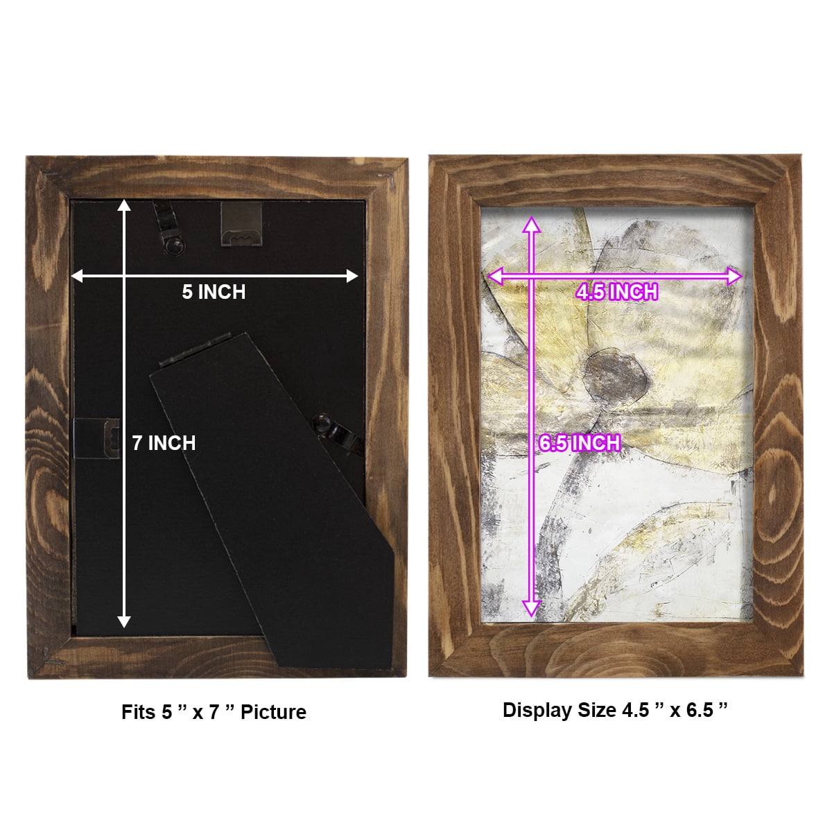 Une Fleur II - Framed Print w/glass - Walnut
