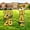 Black Gold, variant on Extra Large 2026 Graduation Yard Sign Black and Gold Graduation Decorations Class of 2026 Waterproof Congrats Grad Garden Lawn Decor with Stakes for College School Grad Ceremony Party
