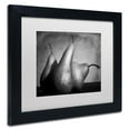thumbnail image 3 of Trademark Fine Art "Cayendo" Canvas Art by Moises Levy White Matte, Black Frame, 3 of 5