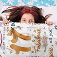 thumbnail image 4 of LHSHID 17 Year Old Girl Gift Ideas Gifts for 17 Year Old Girl 17th Birthday Gifts for Girls Best Birthday Gifts Blanket for 17 Year Old Girl Happy 17th Birthday 30"x40", 4 of 6