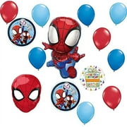Spidey and His Amazing Friends Birthday Balloon Bouquet 14 pc Decorations