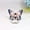 Blue, variant on Butterfly Phone Ring Holder, 360° Rotating Phone Stand, Cute Cell Phone Finger Grip, for Smartphone Tablet Secure Grip Kickstand