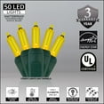 thumbnail image 3 of Wintergreen Lighting LED Christmas Tree Lights, T5 Mini Lights, LED String Lights, Christmas String Lights, 50 Lights, Green Wire, 3 of 7
