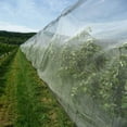 thumbnail image 4 of Fiudx Red Antiinsectos para Jardín, Barrera Física Eficaz, Protege Las Verduras de Aves E Insectos, Malla Multiusos para Jardín, Deja Pasar La Luz Solar y La Lluvia, 2 X 3 M, 4 of 6