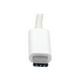 Tripp Lite USB-C DVI Vidéo Adaptateur USB C vers Convertisseur 1080p, M/F, vers DVI, USB Type-C vers DVI, USB Type C vers DVI 6in - Adaptateur Vidéo Externe - USB-C 3.1 - DVI - Blanc – image 2 sur 11