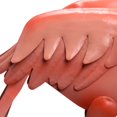 thumbnail image 2 of National Tree RAS-QAS074RA 33.5 in. Metal Standing Flamingo Garden Decor - Bright Pink with Yellow & Black Beak, 2 of 2