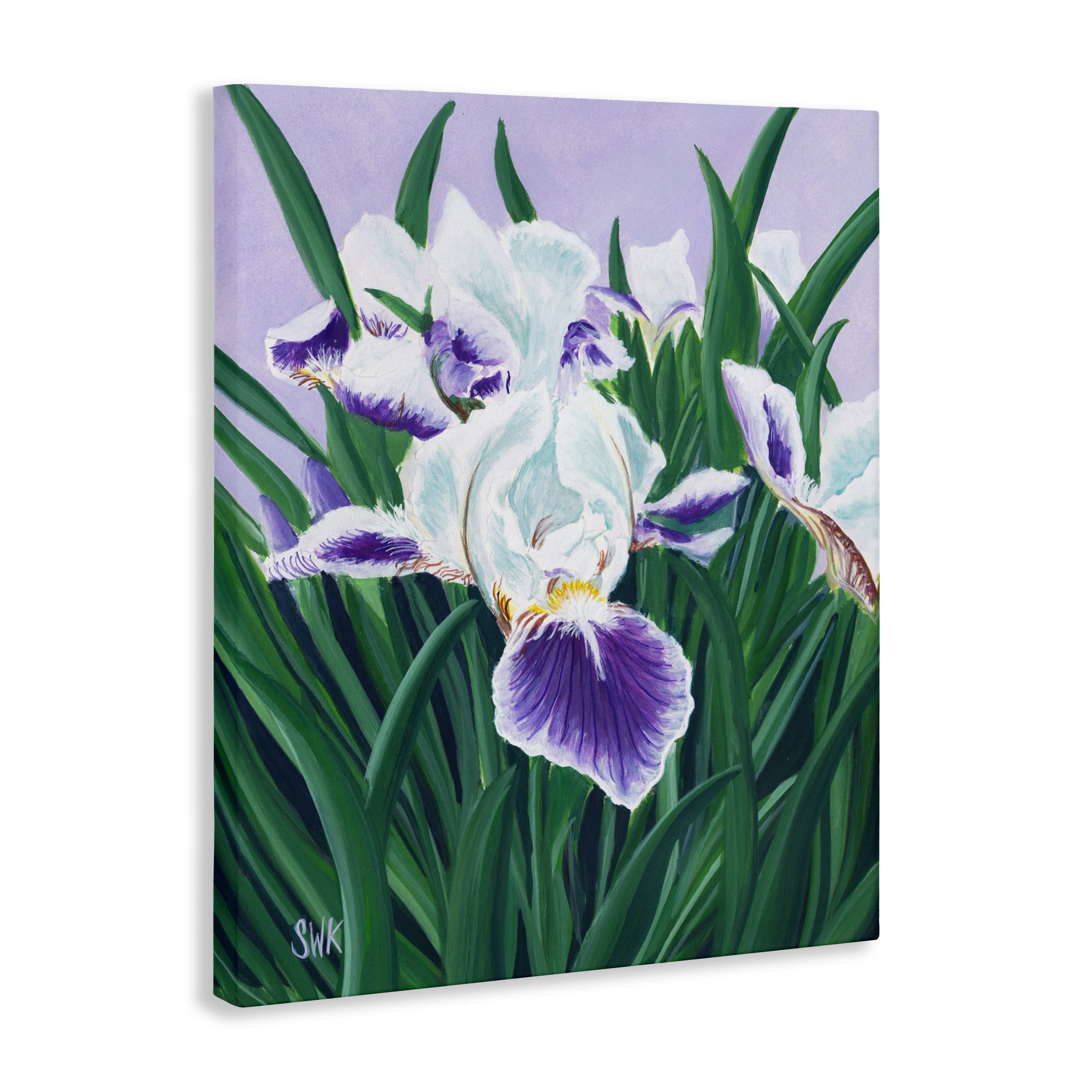 Stupell Industries Purple & White Irises Canvas Wall Art, design by Sarah Waldron Kimball