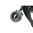 thumbnail image 3 of Tail Light Harness, 3 of 4