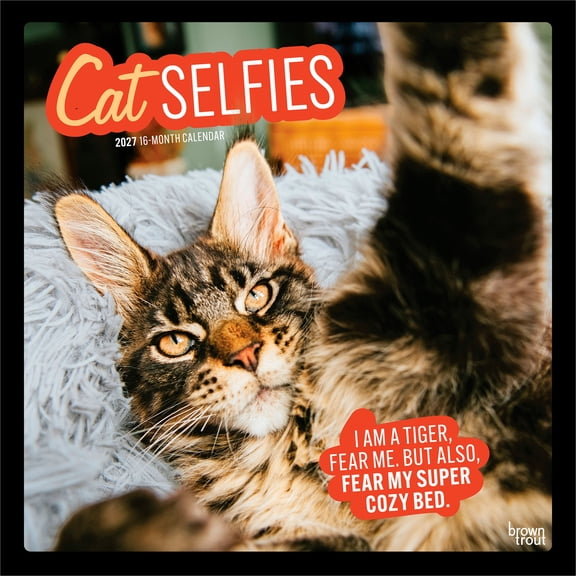 Cat Selfies | 2027 12x24" (Hanging) Wall Calendar | Plastic-Free