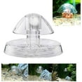 thumbnail image 4 of HSHDLDF 3Pcs Snail Box, Plastic for Aquarium Fish Tank, 3.15inch/8cm, 4 of 7