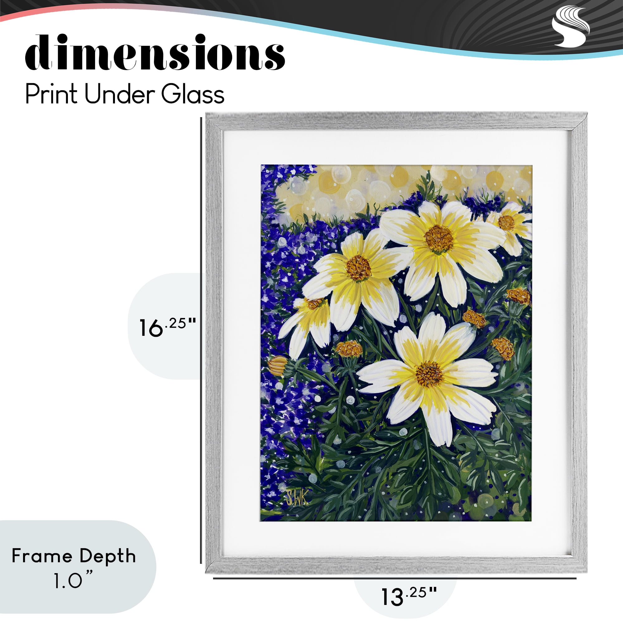 Stupell Industries Summer Garden Cosmos Gray Framed Print Under Glass, design by Sarah Waldron Kimball