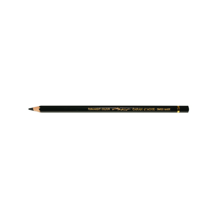 Caran D'Ache Color Pencil Set - Pablo Water-Resistant Colored
