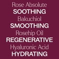 thumbnail image 4 of Plant Therapy Rose with Bakuchiol Facial Serum 1 oz with 30% Hyaluronic Acid, Ferulic Acid, and Vitamin E, Reduces the Appearance of Fine Lines & Wrinkles, 4 of 9