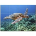 thumbnail image 1 of Turtle Ceramic Tile Mural Kitchen Backsplash Bathroom Shower 402953-XL43, 1 of 3