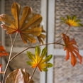 thumbnail image 5 of Artificial Fatsia Leaf in Autumn Red 32" Tall, 5 of 12