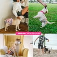 thumbnail image 3 of CALHNNA Washable Dog Diapers, Female Dog Diapers 3 Pack M, 3 of 5