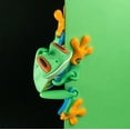 thumbnail image 2 of Aousin 1PC Random Style 3D Printed Magnetic Frog Animals Relaxation Ornaments, Magnetic Attachment on Legs Adhesive to Various Places for Diverse Play, 2 of 9