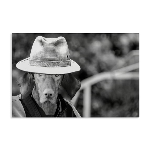 Stupell Industries Eclectic Country Cowboy Dog Canvas Art, 24 x 16, by SD Graphics Studio