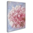 thumbnail image 2 of Trademark Fine Art "Pink Peonie I" Canvas Art by Li Bo, 2 of 3